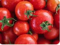 Green Tomatoes